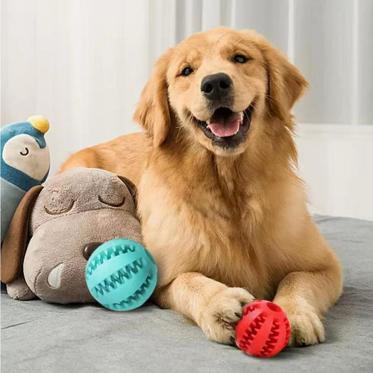 Durable Pet Toy with Rope and TPR Chew Ball for Dogs