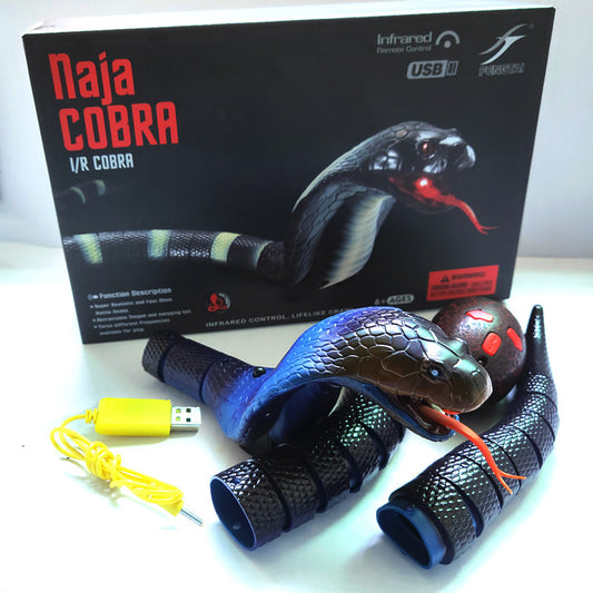 Realistic Crawling Snake Animal Toy for Kids & Teens