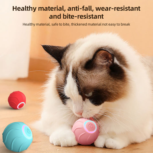 Kitten Toy – Automatic Bouncing Interactive Ball USB Rechargeable