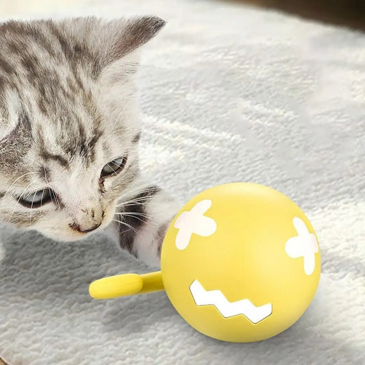 Interactive Cat Toy – Smart Teasing Ball with USB Charging