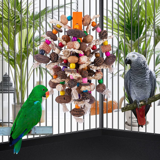 Wooden Fruit Skewers for Birds and Parrots