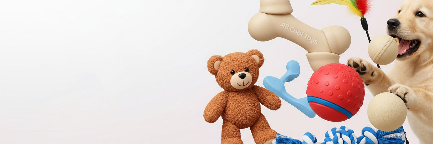 Best Toys Online Store – All Cool Toys Collection