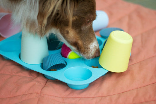Dog Enrichment Toys