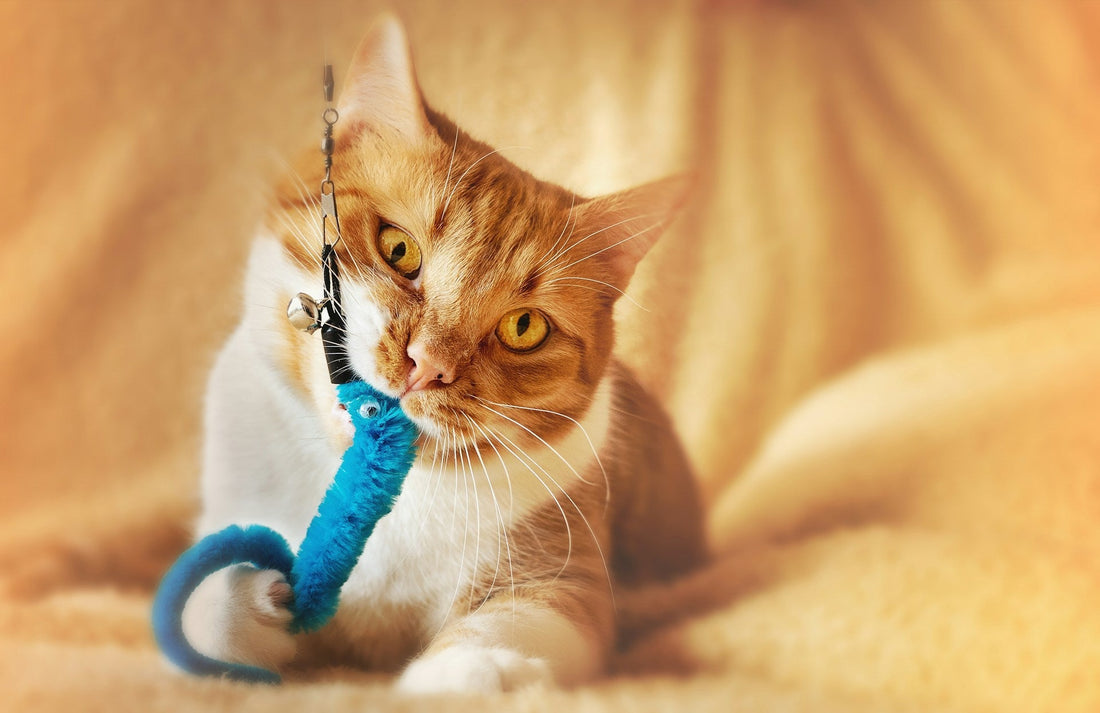 Cat Kicker Toys