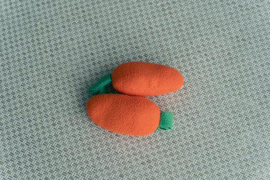Carrot Fidget Toy