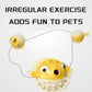 Durable Fish-Shaped Squeaky Dog Toy for Aggressive Chewers