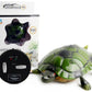 Realistic Crawling Snake Animal Toy for Kids & Teens