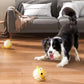 Durable Fish-Shaped Squeaky Dog Toy for Aggressive Chewers