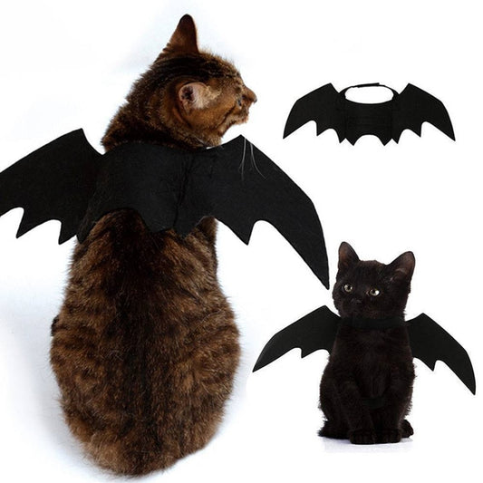 Halloween cat costume with black felt bat wings
