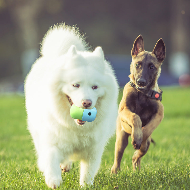 Durable Silicone Bite Toy for Pets – Fun and Safe Play