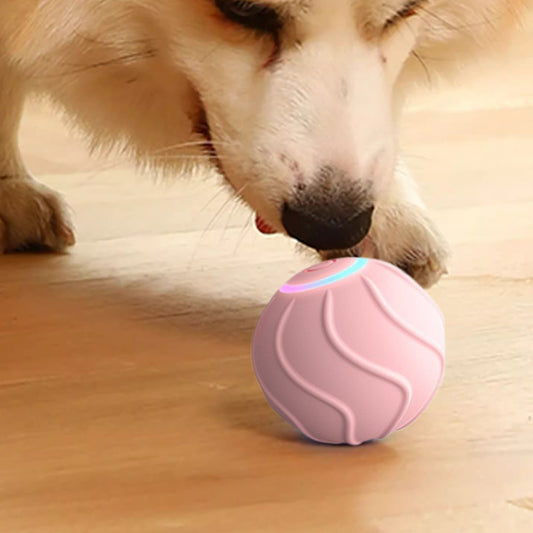 Kitten Toy – Automatic Bouncing Interactive Ball USB Rechargeable