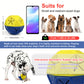 Indestructible Dog Toys – Durable Chew Toys for Aggressive Chewers