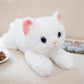 Cat Soft Toy – Plush Kitty in 5 Colors & 2 Sizes [50cm-70cm]