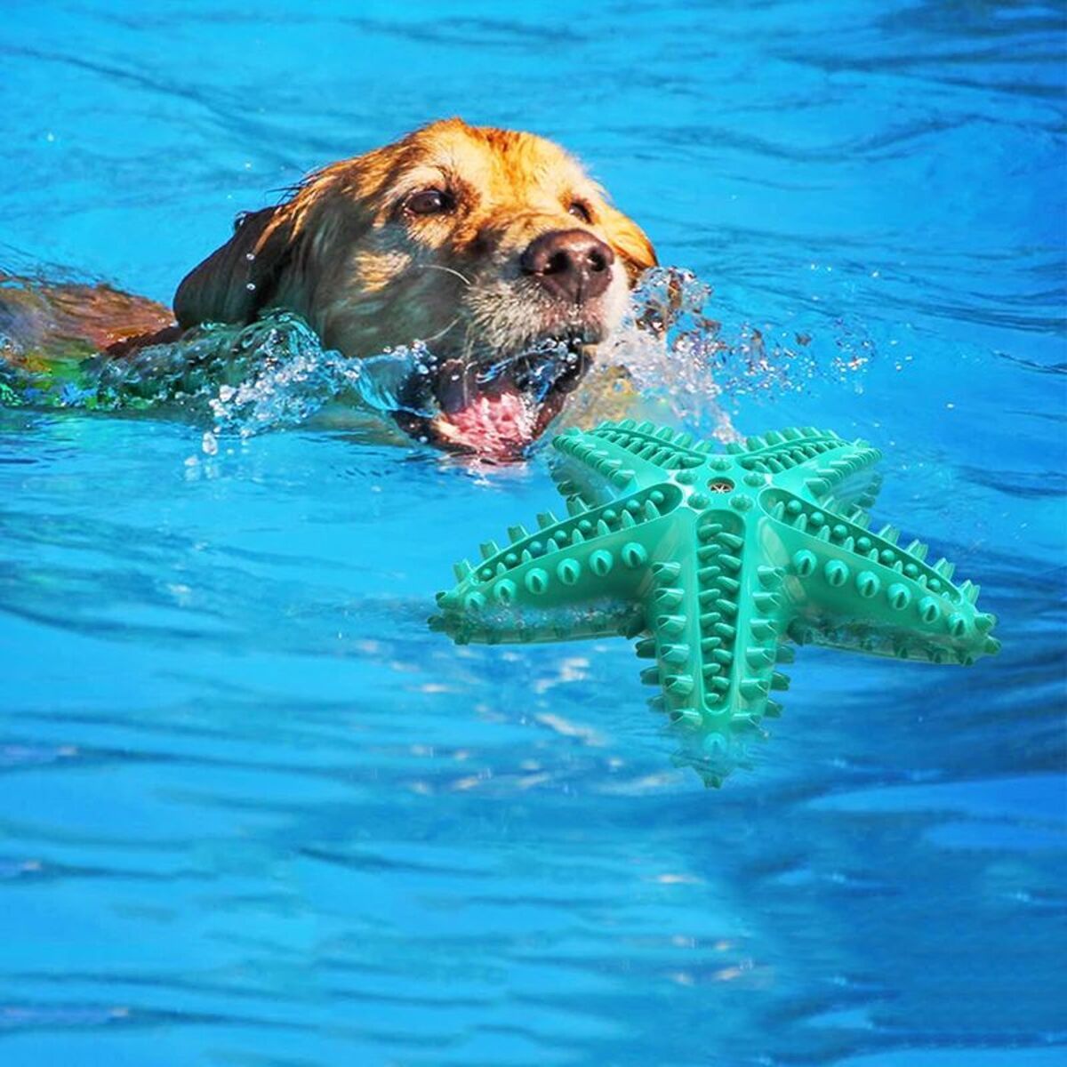 Edible TPR Dog Toy for Aggressive Chewers and Dental Care