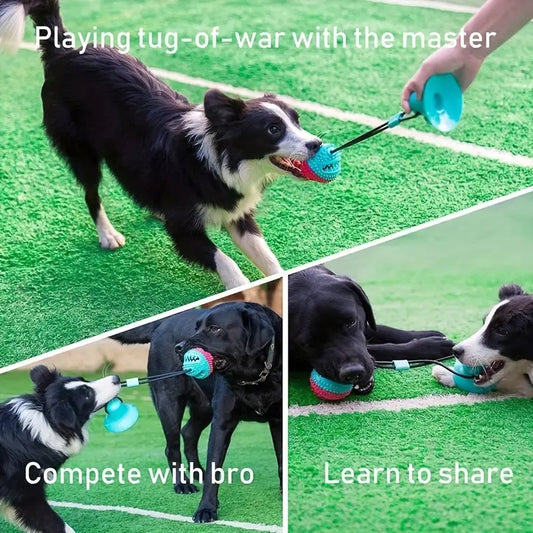 Tough Chewer Suction Cup Rope Dog Toy with Food Dispenser