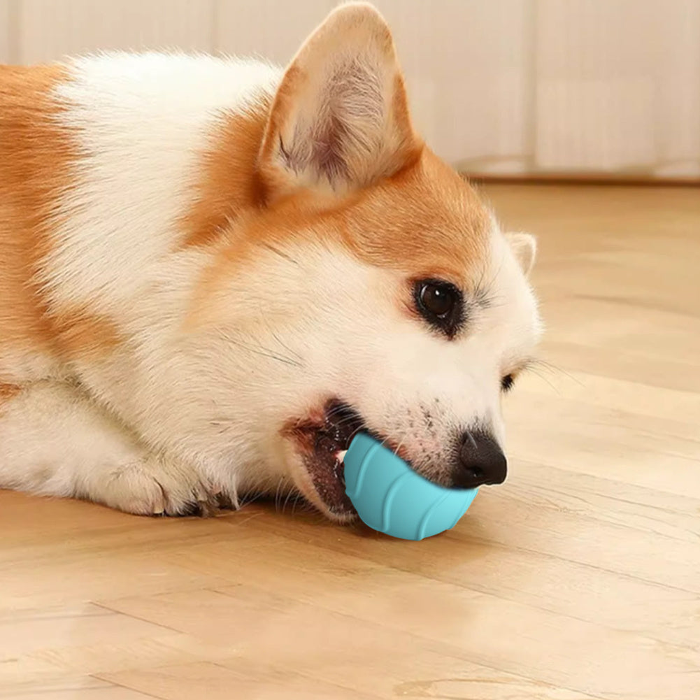 Kitten Toy – Automatic Bouncing Interactive Ball USB Rechargeable