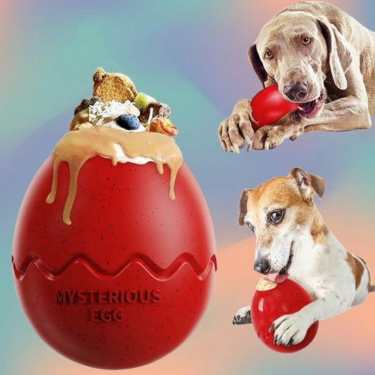 Durable TPR Dog Toy for Active and Healthy Play