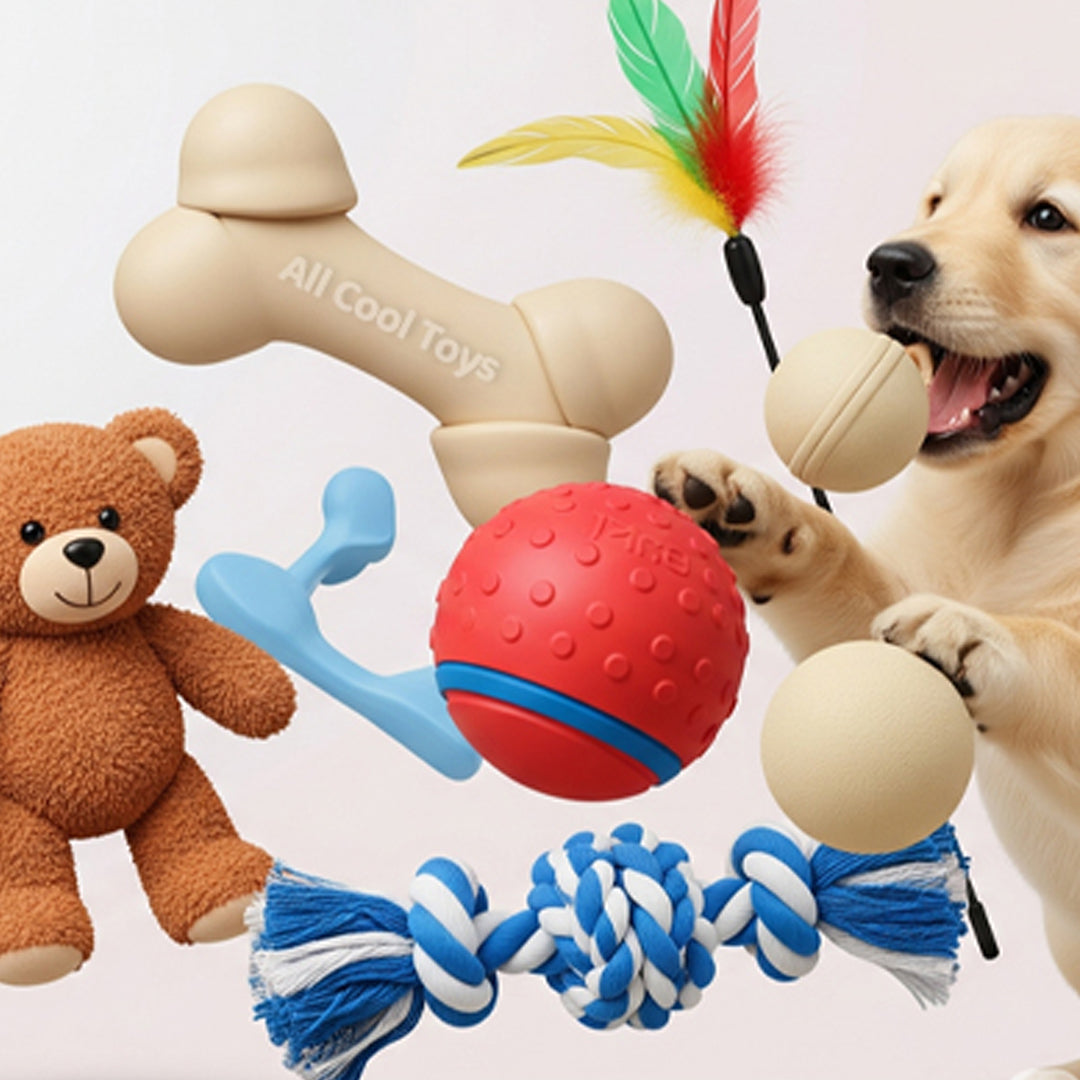 Best Toys Online Store – All Cool Toys Collection