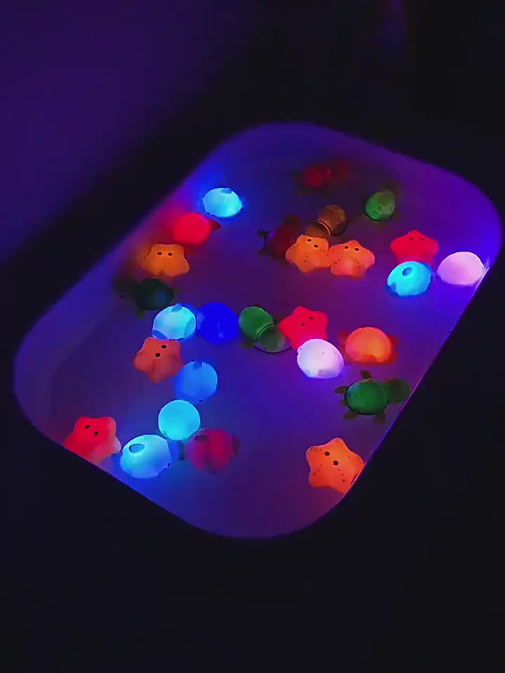 Luminous Animal Toys – 4PCS Stress Relief & Sensory Play Set
