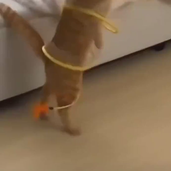 Collapsible Cat Tunnel with Mice and Feather Toys