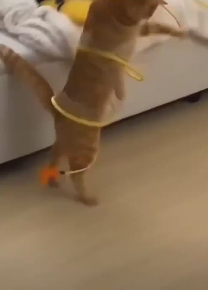 Collapsible Cat Tunnel with Mice and Feather Toys