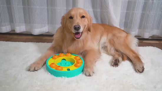 Interactive Dog Puzzle Toy with Slow Feeder and Food Dispenser