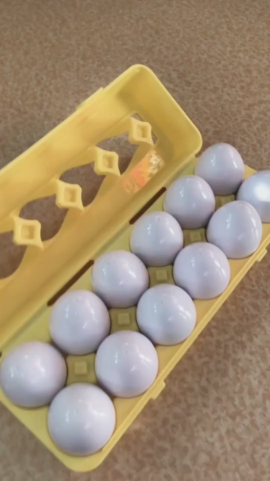 Educational Egg Toy Set for Kids – Shape & Color Matching