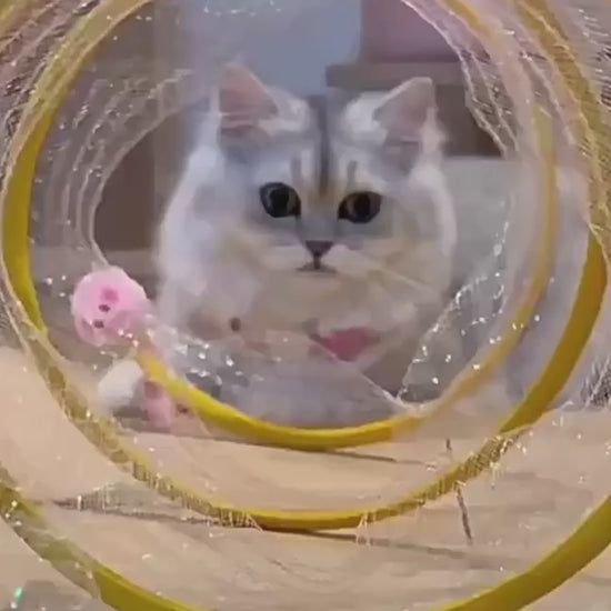 Collapsible Cat Tunnel with Mice and Feather Toys