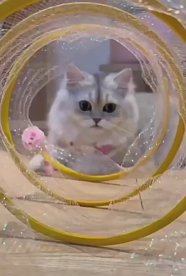 Collapsible Cat Tunnel with Mice and Feather Toys