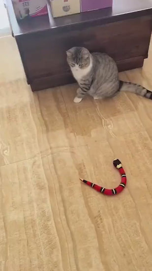 Interactive Sensor Snake Toy for Kids – Realistic Movement