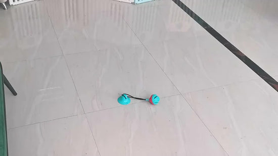 Tough Chewer Suction Cup Rope Dog Toy with Food Dispenser