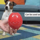Durable TPR Dog Toy for Active and Healthy Play