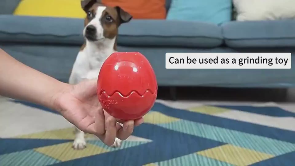 Durable TPR Dog Toy for Active and Healthy Play