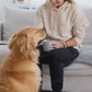 Durable Pet Toy with Rope and TPR Chew Ball for Dogs