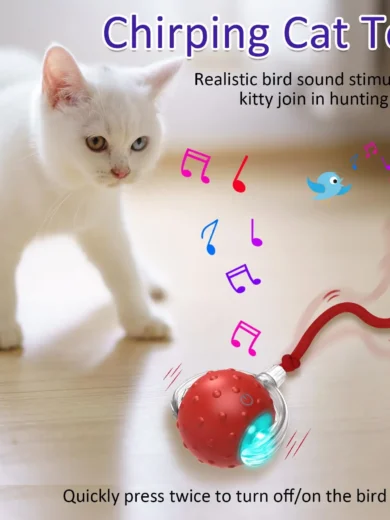 Cat Rolling Ball Toy